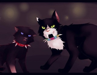 Коты воители бич арты