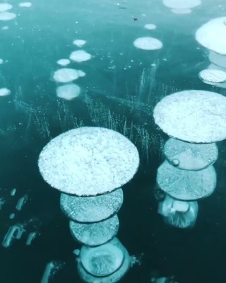 Метановые пузыри