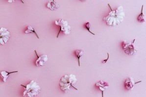 Розовый обои на телефон