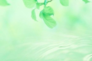 Красивый зеленый фон для презентации