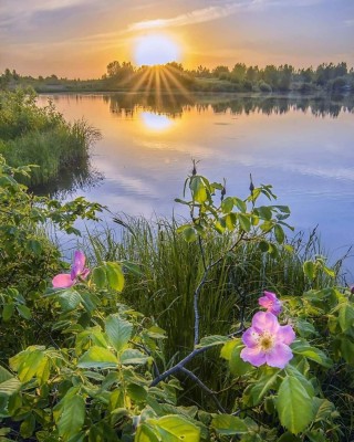 Открытки с добрым утром природа