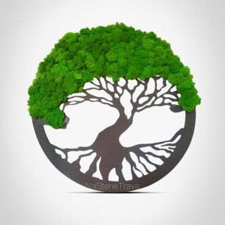 Панно из мха на стену