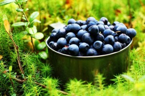 Ягода водяника