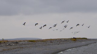 Ненецкий заповедник