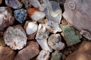 Осадочные горные породы