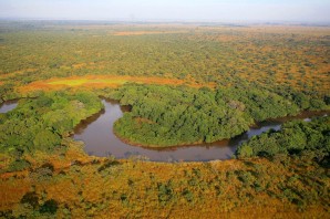 Впадина конго