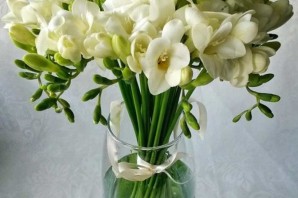 Фрезия белая