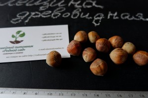 Медвежий орех