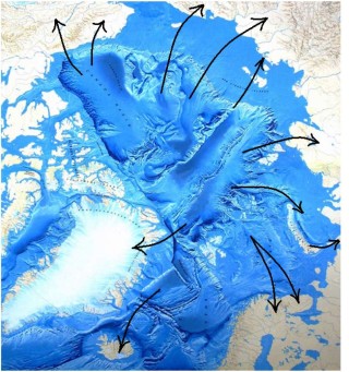 Рельеф дна океана