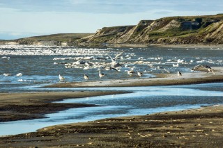 Гыданский полуостров