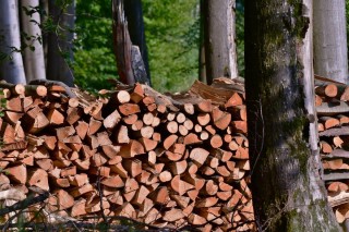 Заготовка дров