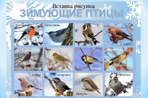 Перелетные птицы урала