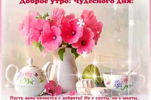 Доброе утро отличного дня