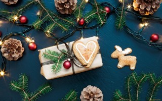 Елочная ветка