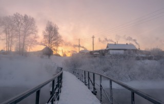 Белая холуница
