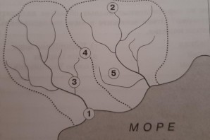 Исток устье