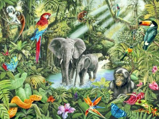 Животные тропических лесов