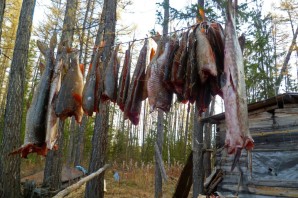 Промысел в тайге