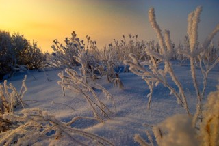 Морозное солнечное утро