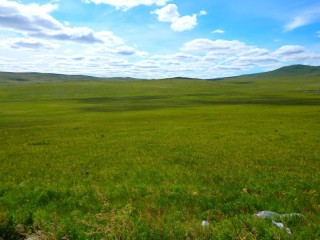 Даурская степь климат