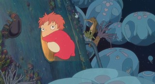 Рыбка понье на утесе