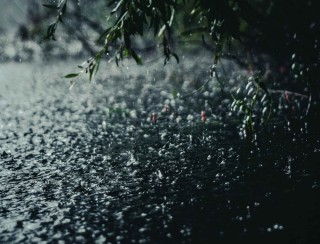 Живительный дождь