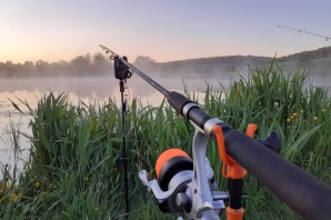 Ропшинские пруды рыбалка