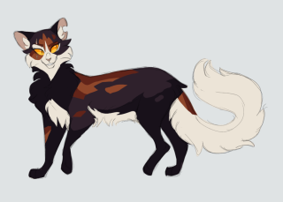 Кленовница