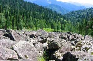 Поднебесные зубья