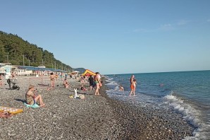 Лазаревское солоники