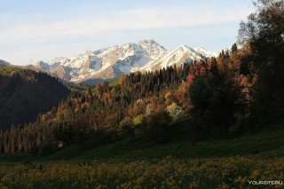 Заилийский алатау