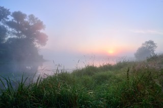 Доброе утро туман