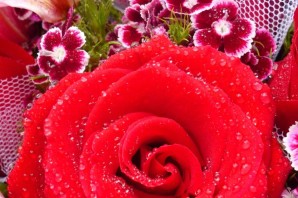 Гуллар расми