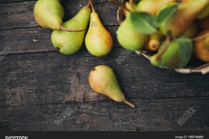 Груша грушелистная