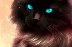 Черный пушистый котенок