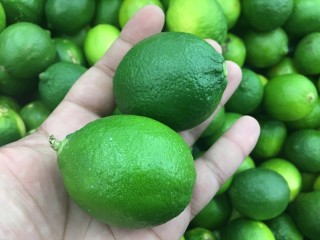 Зеленый маленький фрукт