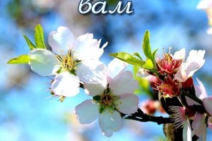 Христианские доброе утро благословенного дня