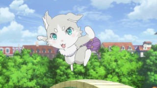 Пак ре зеро