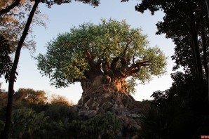 Древо желаний