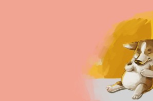 Смешные обои на рабочий стол