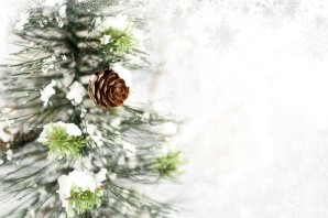 Зимний фон для презентации