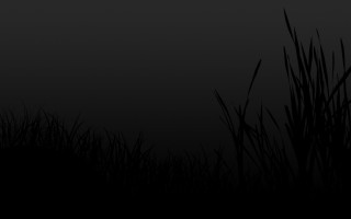 Обои на рабочий стол темные тона