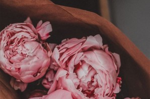 Обои на айфон пионы