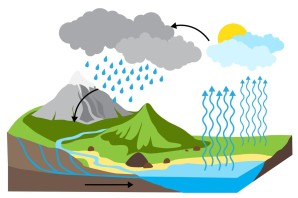Круговорот воды из пластилина