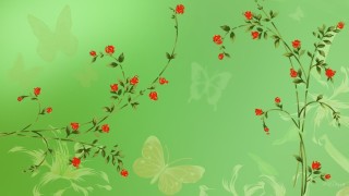 Красивые однотонные обои