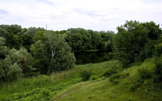 Северный донец