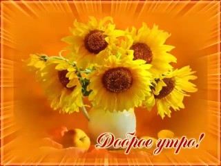 Солнечного настроения