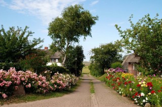 Обои на рабочий стол деревня летом