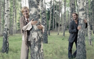 Береза геншин