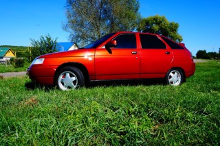 Калифорнийский мак цвет